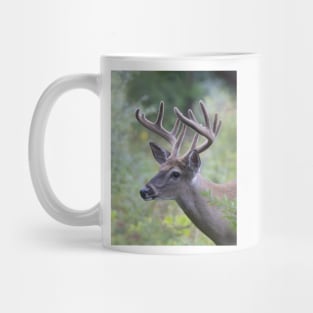 White-tailed Buck in Summer Mug